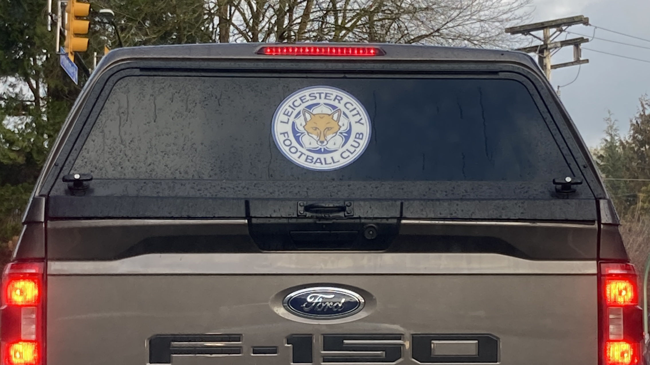 Leicester City Fan